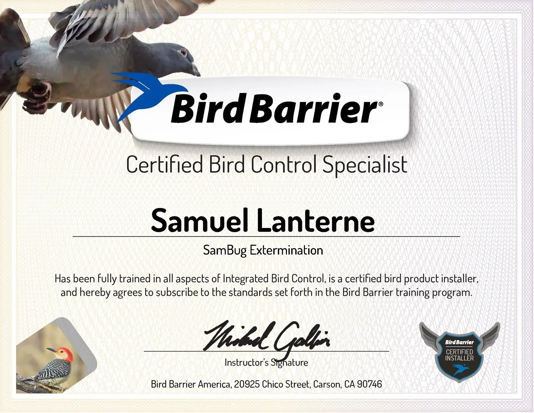 Certifiée Bird Barrier • Extemination SamBug