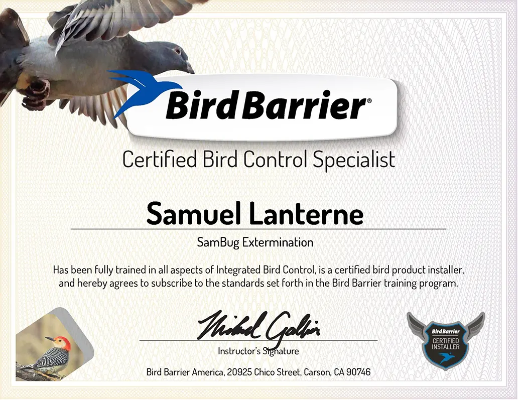 Accréditation Bird Barrier – Extermination SamBug Accréditation Bird Barrier - Extermination SamBug